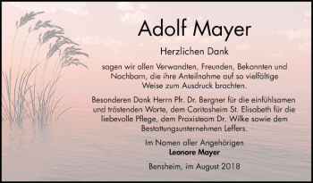 Traueranzeige von Adolf Mayer von Bergsträßer Anzeiger