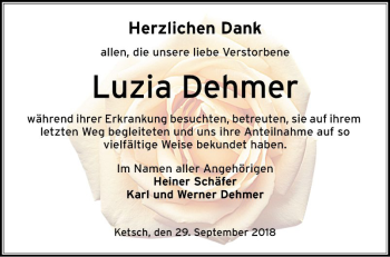 Traueranzeige von Luzia Dehmer von Schwetzinger Zeitung