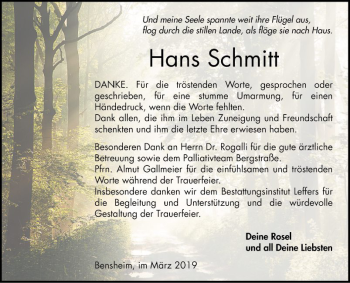 Traueranzeige von Hans Schmitt von Bergsträßer Anzeiger