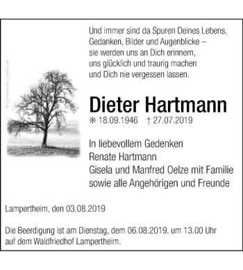 Traueranzeige von Dieter Hartmann von Südhessen Morgen