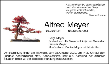 Traueranzeige von Alfred Meyer von Mannheimer Morgen
