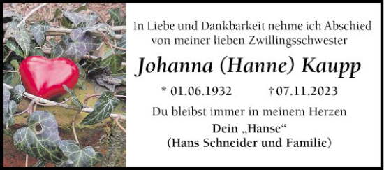 Traueranzeige von Johanna Hanne Kaupp von Mannheimer Morgen