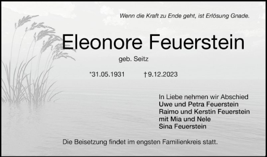 Traueranzeige von ELeonore Feuerstein von Mannheimer Morgen