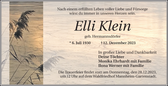 Traueranzeige von Elli Klein von Mannheimer Morgen