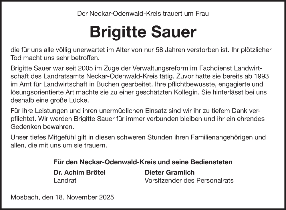 Traueranzeige für Brigitte Sauer vom 18.11.2025 aus Fränkische Nachrichten