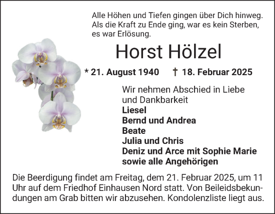 Traueranzeige von Horst Hölzel von Bergsträßer Anzeiger