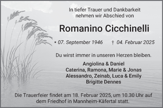 Traueranzeige von Romanino Cicchinelli von Mannheimer Morgen