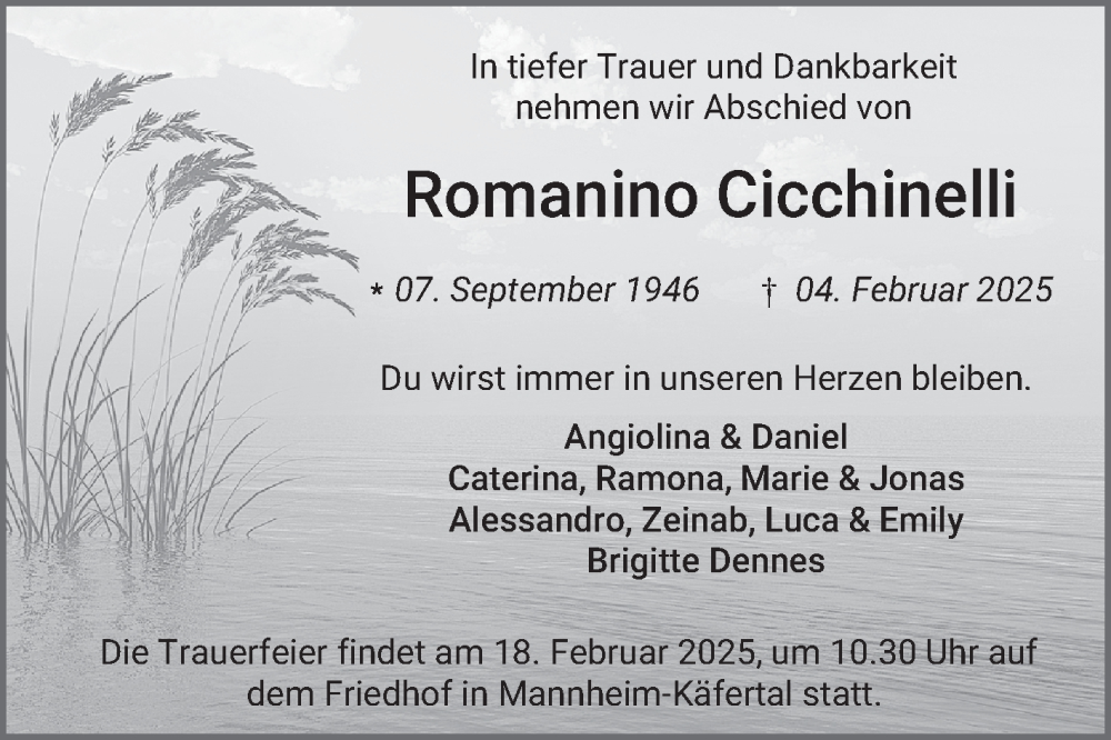  Traueranzeige für Romanino Cicchinelli vom 15.02.2025 aus Mannheimer Morgen