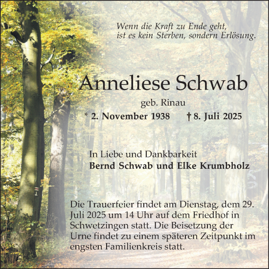 Traueranzeige von Anneliese Schwab von Schwetzinger Zeitung
