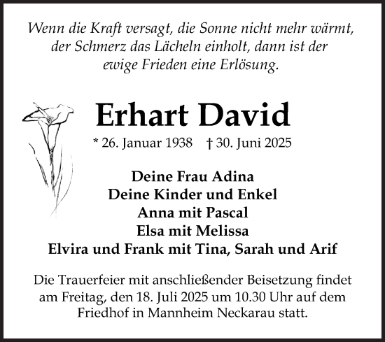 Traueranzeige von Erhart David von Mannheimer Morgen