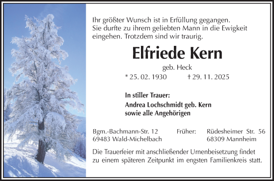 Traueranzeige von Elfriede Kern von Mannheimer Morgen